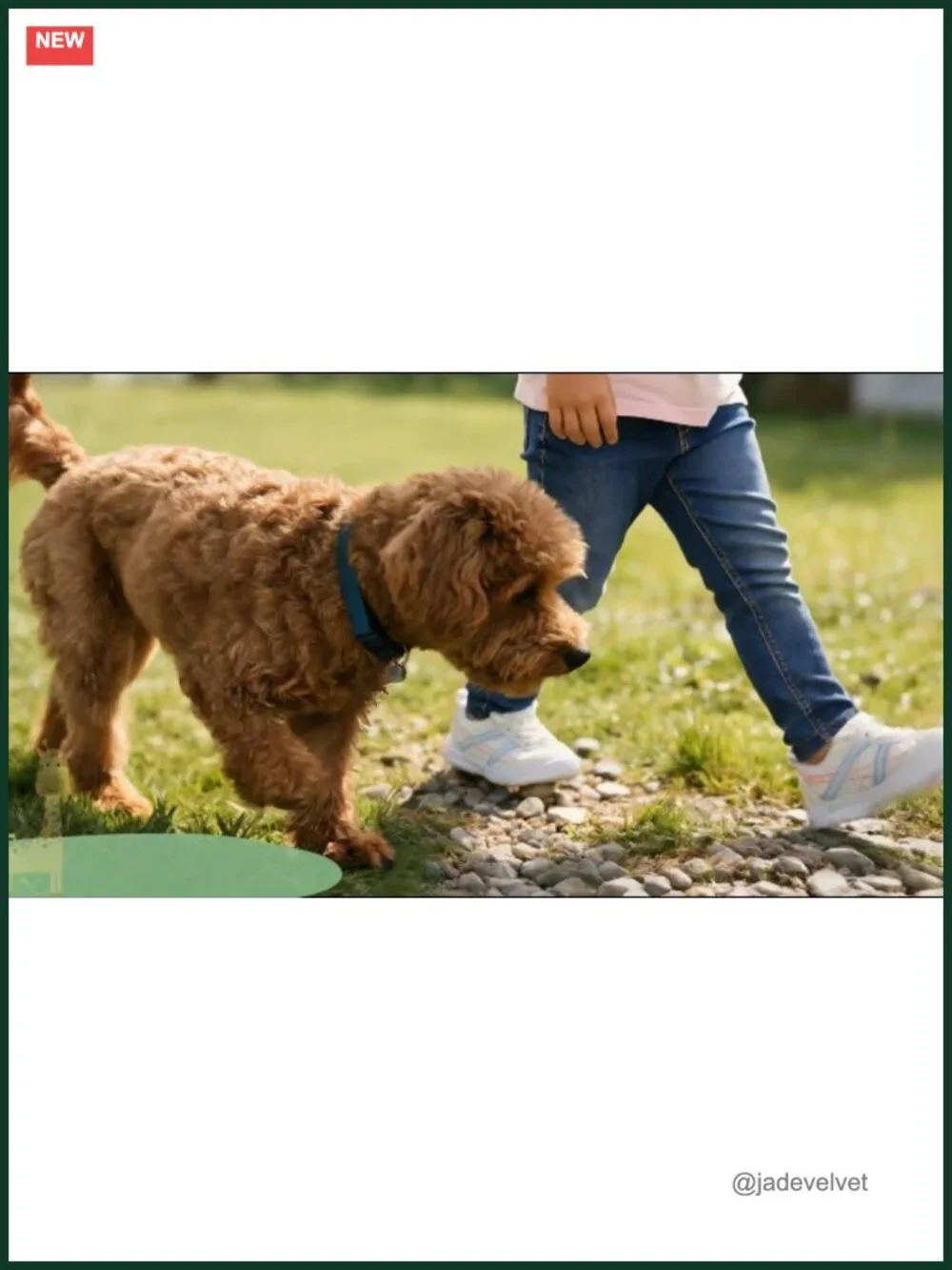 Toddler Boys Girls Barefoot Walking Shoes Breathable Running Sneakers Slip On